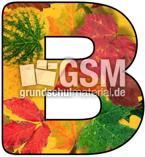 Herbstbuchstabe-5-B.jpg